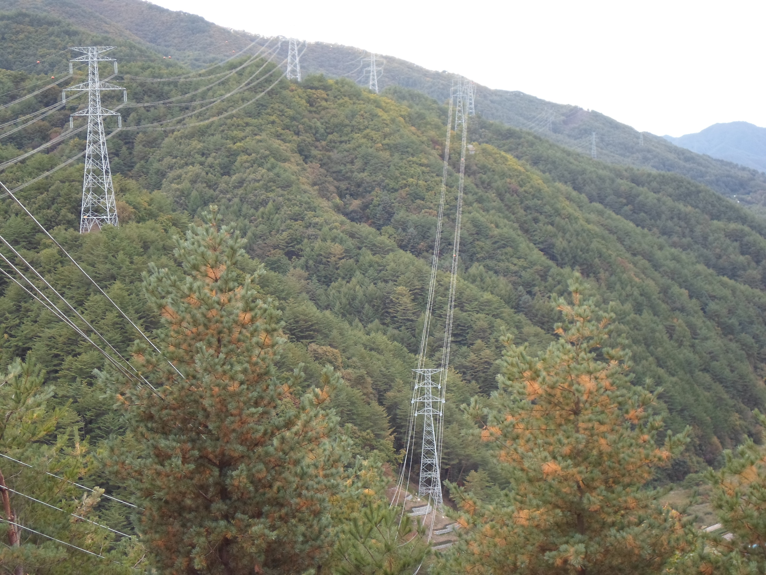 154kV 봉화분기 송전선로 1공구 건설공사