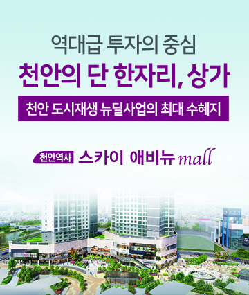 천안역사 스카이 애비뉴 mall